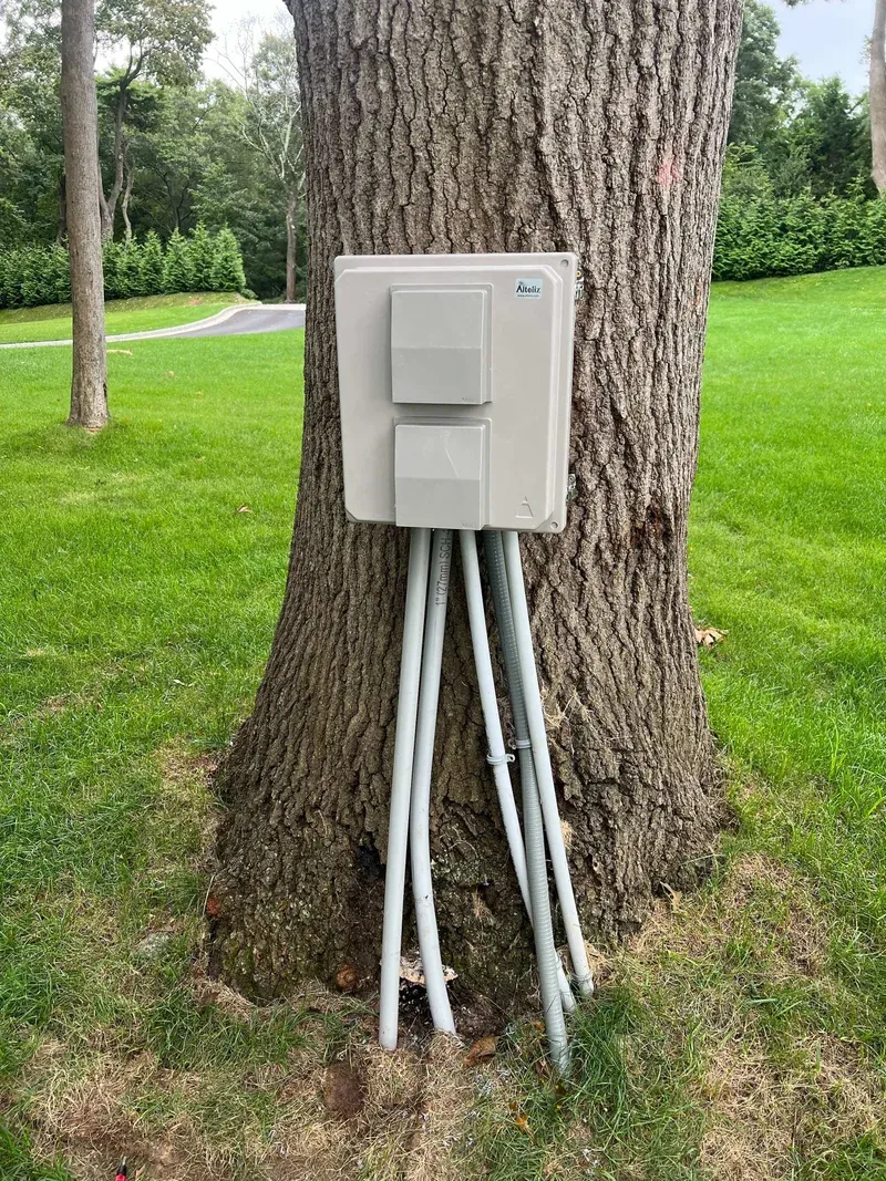 Weatherproof enclosure with conduit extending to the base of a tree