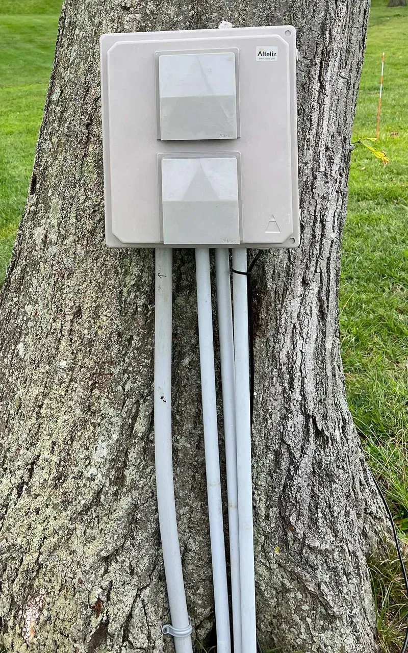 Closed weatherproof enclosure mounted on a tree with conduit running downward