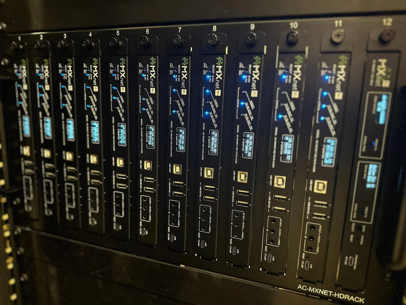 Rack-mounted video distribution modules