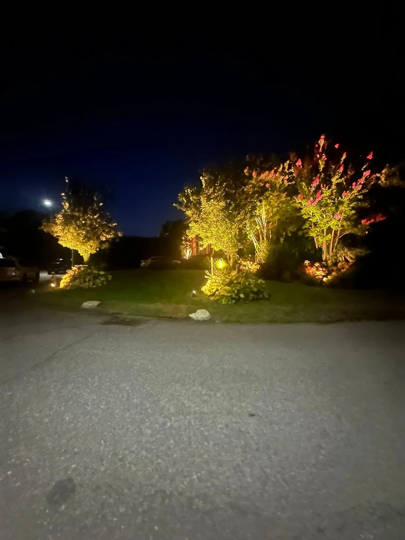 Illuminated planting beside a driveway at night