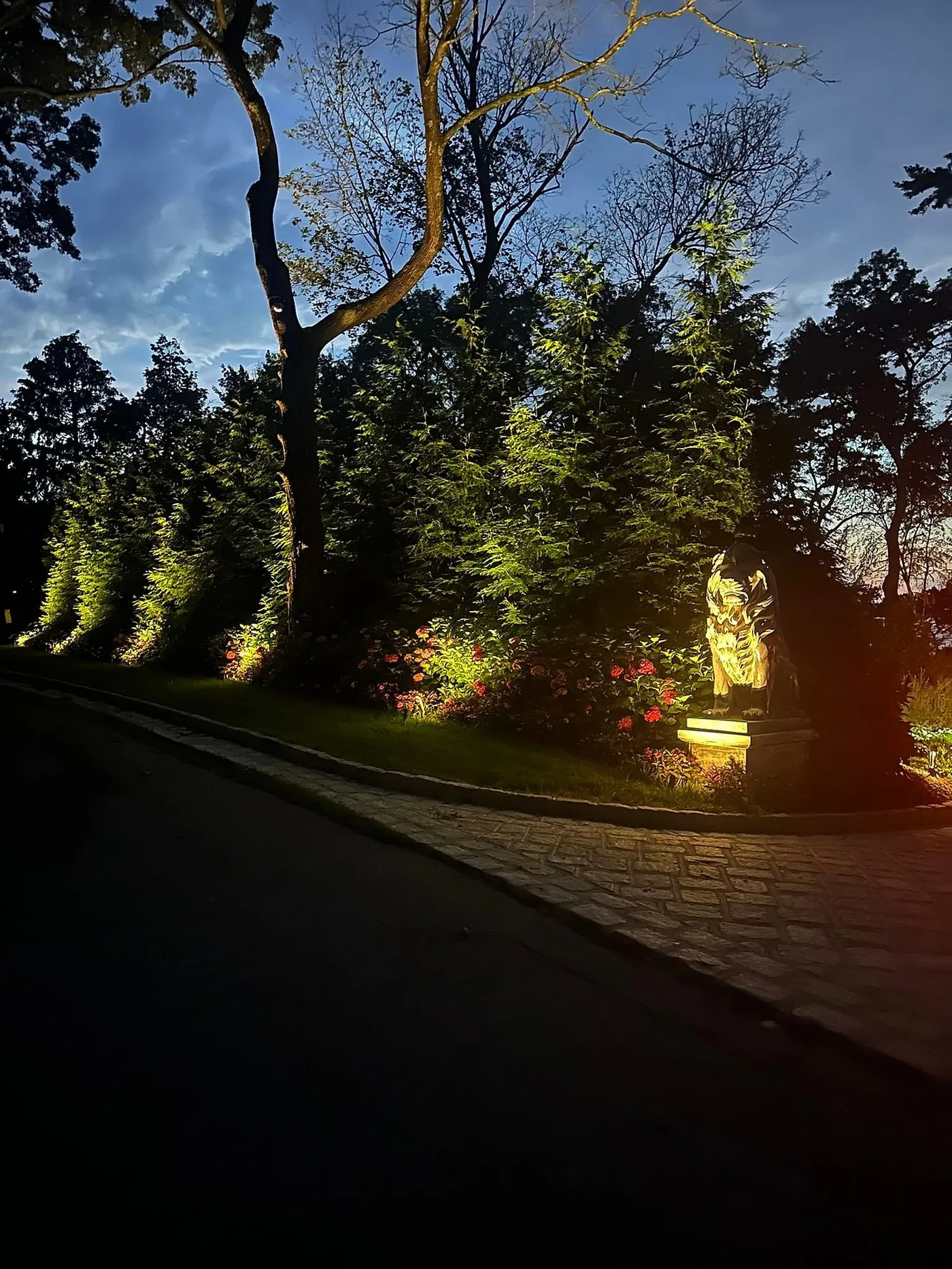 Landscape uplighting beneath mature trees