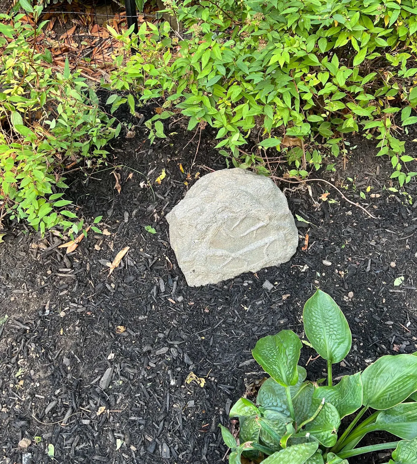 Rock-style outdoor speaker integrated into garden planting